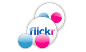 flickr logo 300x183