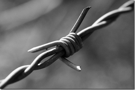 Importance of Backlinks in SEO for a Website