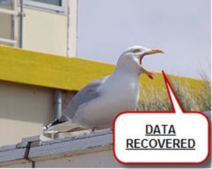 data thumb