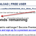Thumbnail image for Skip Rapidshare Wait time with Skipscreen Firefox Addon
