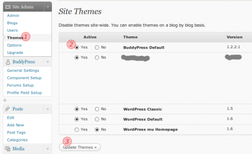 Site Admin Themes