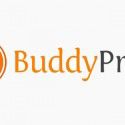 Thumbnail image for BuddyPress: Build a Community with Wordpress