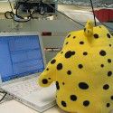 Thumbnail image for What to do when people copy your blog content?
