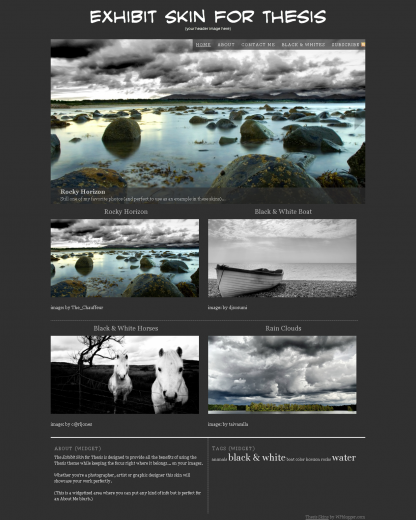19 Best and Free Thesis Skins For Thesis Wordpress Theme