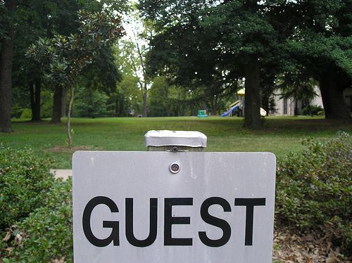 guest Blogging