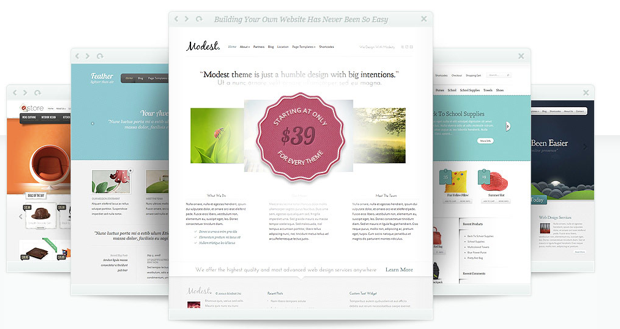 Elegant Theme Club Elegant Theme Club