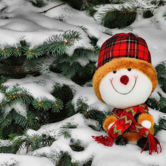 How to Make More Money this Holiday Season?