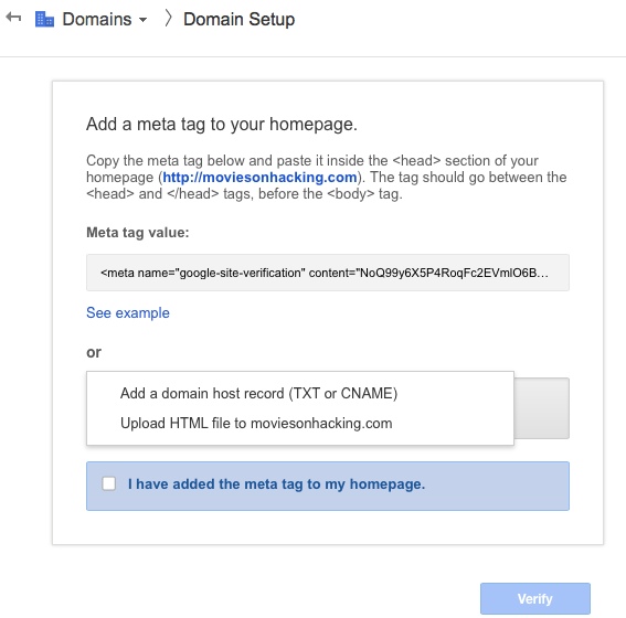 Google apps domain verification 