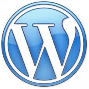 Professional WordPress SEO Service Professional WordPress SEO Service