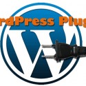 Thumbnail image for Google Panda WordPress Plugins to Kick Panda Back to The Jungle