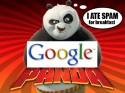 Thumbnail image for Google Panda Attack on Japan & Korea
