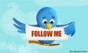 Thumbnail image for How to Get More Followers on Twitter