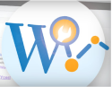 Thumbnail image for The Problem With Unlimited WordPress SEO Plugins