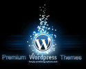 Thumbnail image for Do You Have to Hire a WordPress Developer?
