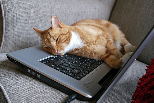 When Blogging Becomes Boring & Tiresome?