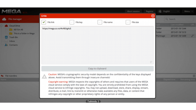 Mega Encryption Key