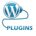 Premium WordPress plugins