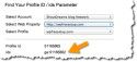 Google analytics profile paramteres