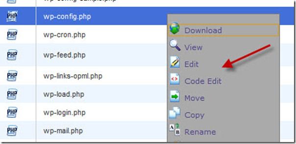 editing wp-config WordPress