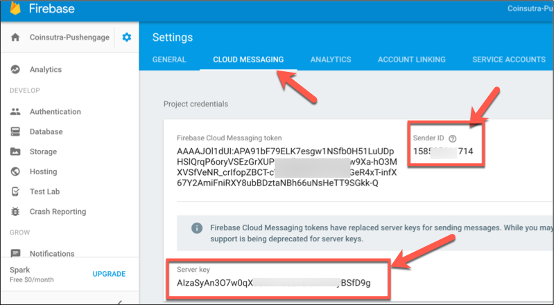 Firebase Cloud Messaging Server key Firebase Cloud Messaging Server key