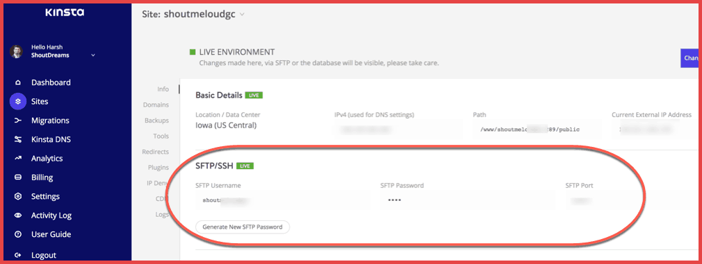 FTP-details-Kinsta-hosting