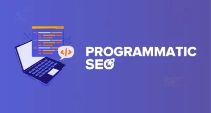 Programmatic SEO Introduction For Beginners : Detailed Guide